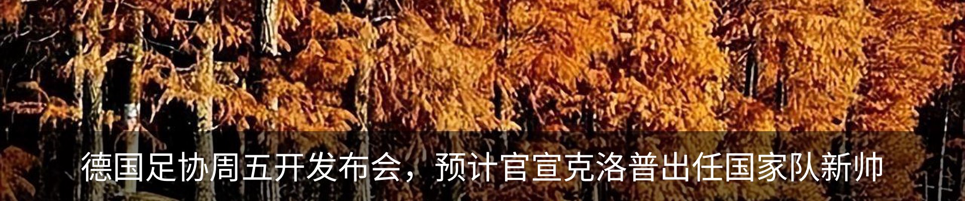 内页banner